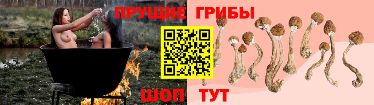 Псилоцибиновые грибы ЛСД Наро-Фоминск